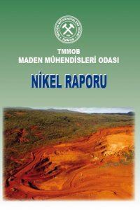 NİKEL RAPORU