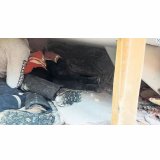MİLLİYET - Domuz damından yaşam koridoruna