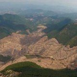 T24 -  BİNLERCE AĞACIN KESİLDİĞİ KAZ DAĞLARIN`DA KAMU YARARI ARAŞTIRMASI YAPILMAMIŞ