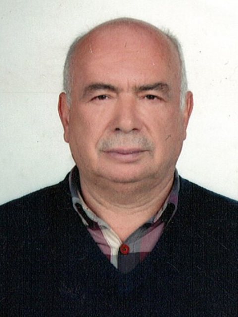 MEHMET ALİ DEMİRÖREN