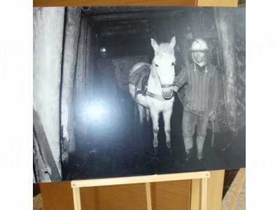 “İŞ CİNAYETLERİNE KARŞI MÜCADELE GÜNÜ”  ETKİNLİKLERİ YAPILDI