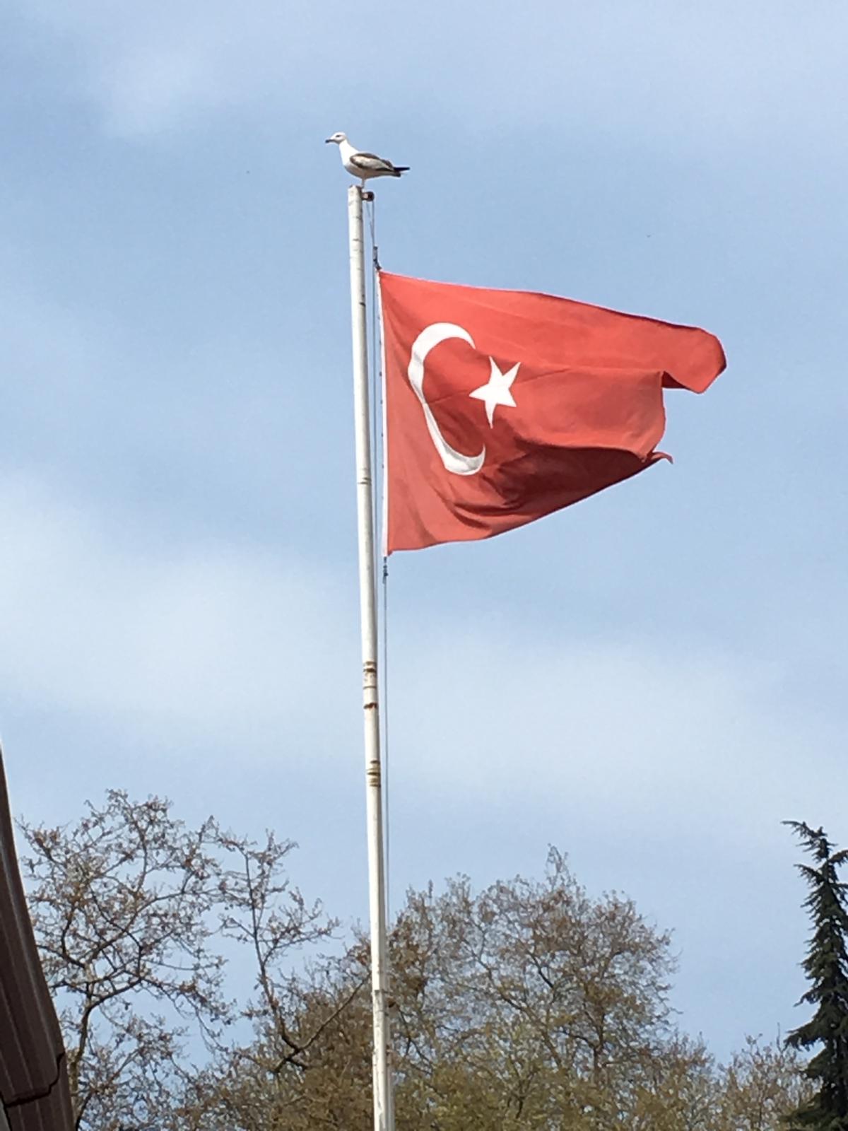 TBMM `NİN KURULUŞUNUN 100.YILI İLE ULUSAL EGEMENLİK VE ÇOCUK BAYRAMI KUTLU OLSUN